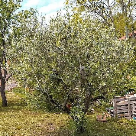 Kuca Za Odmor Mila 3* Vrbanj