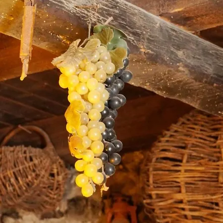 Kuca Za Odmor Mila 3* Vrbanj
